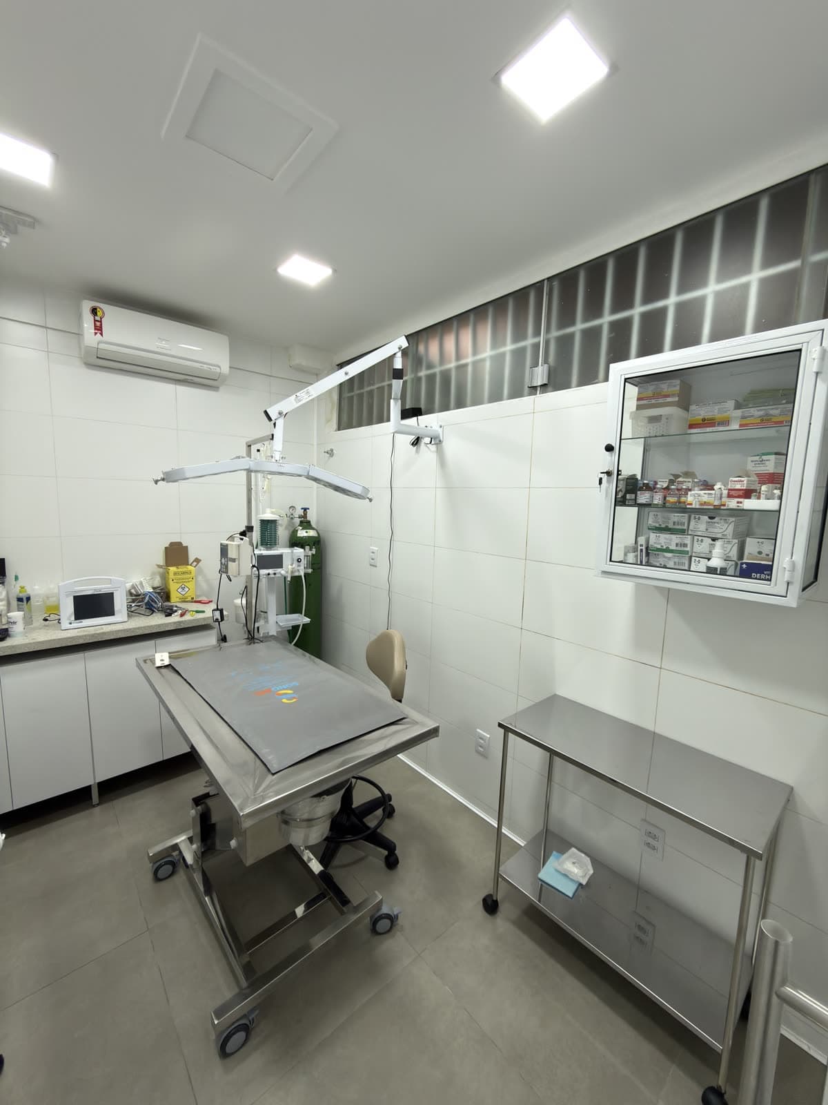 Armário de medicamentos organizado, na área de apoio da clínica