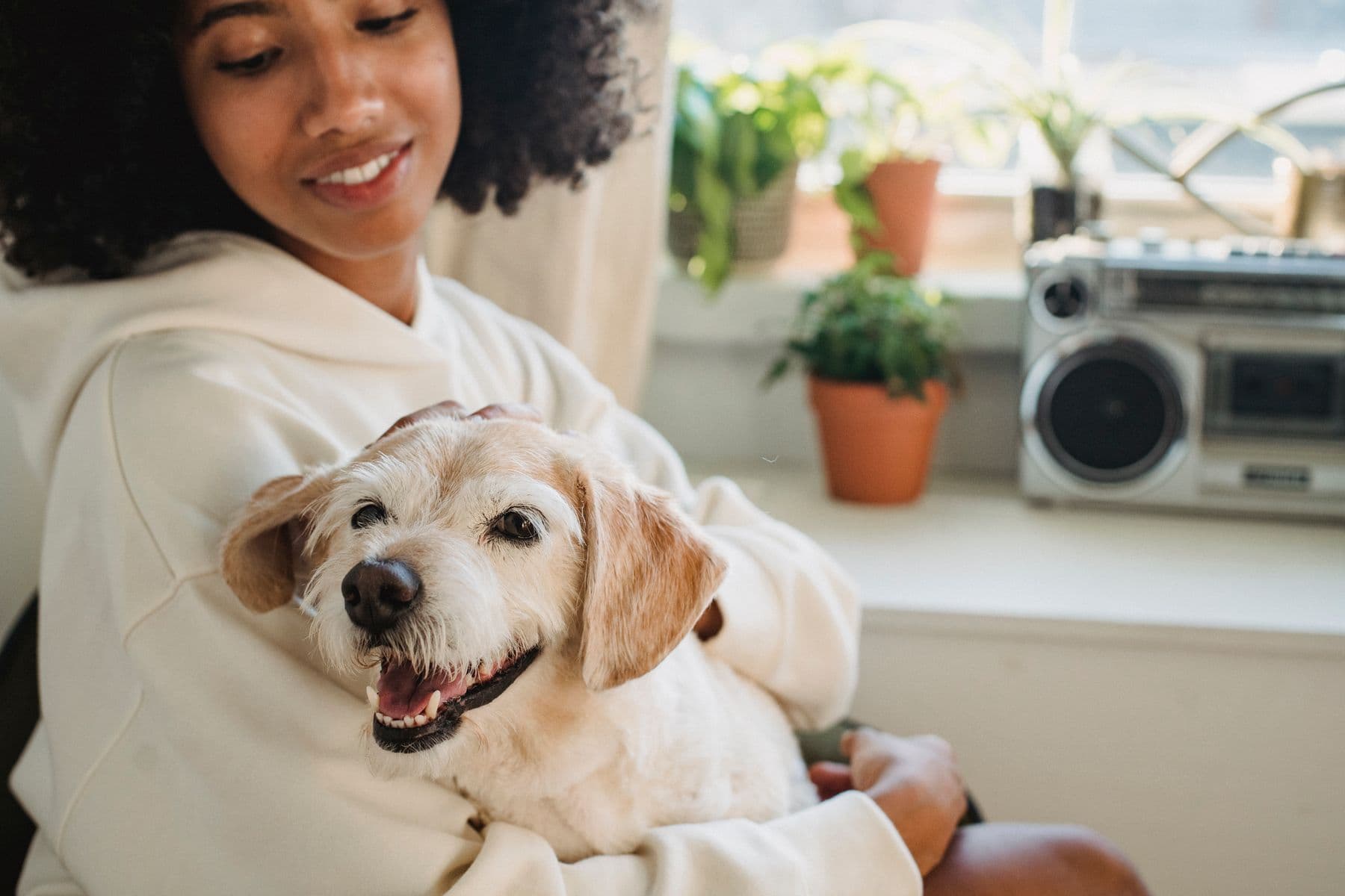 Tutora sorrindo com seu cão no colo, à luz da janela