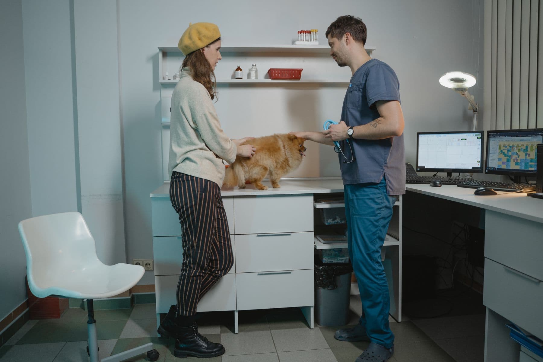 Sala de atendimento veterinário limpa e bem iluminada