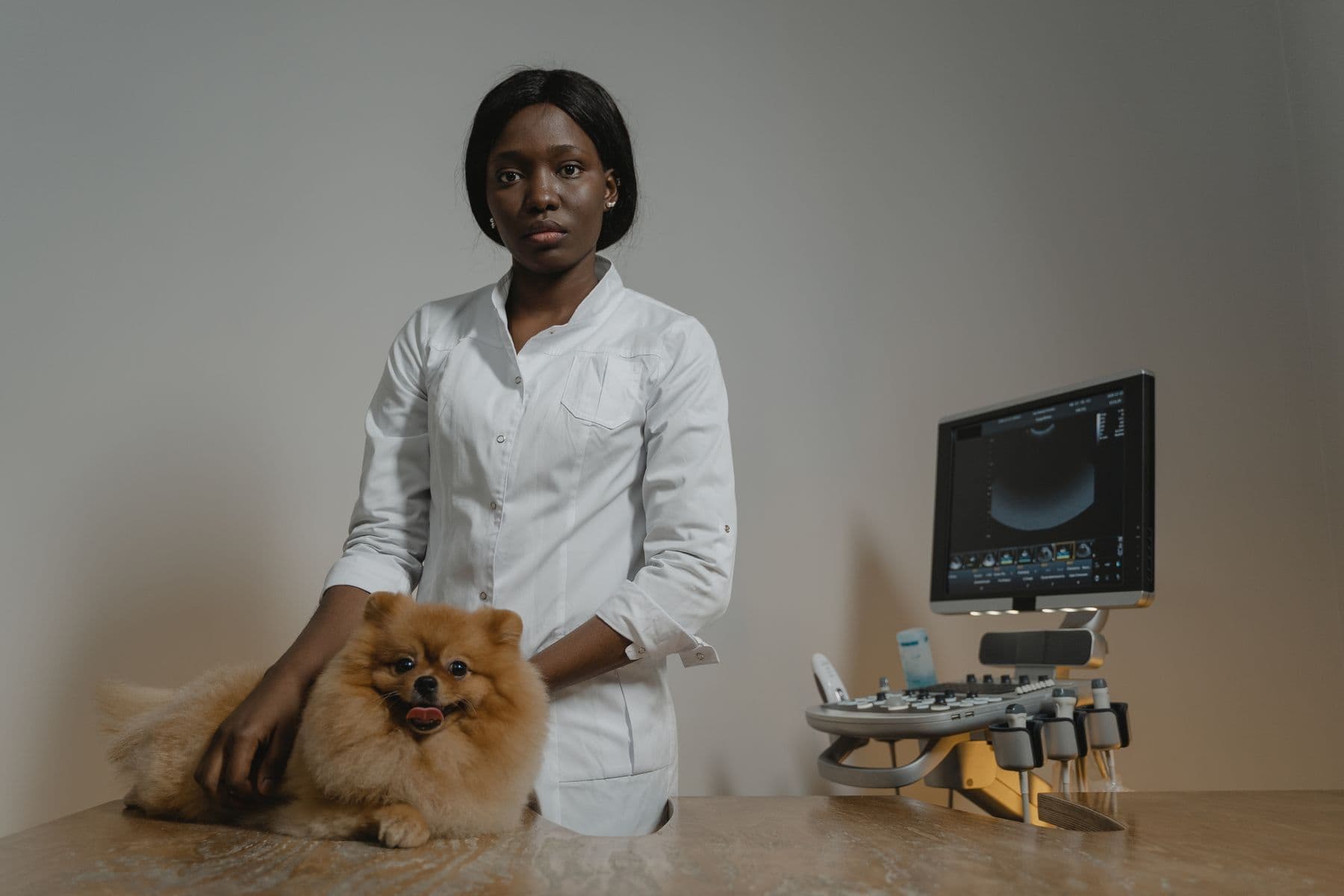 Veterinária realizando exame de imagem em um cão