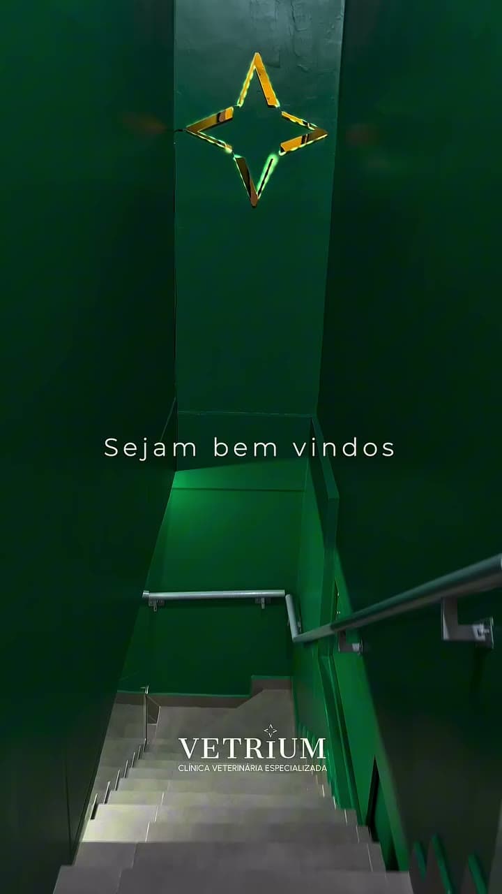 Conheça a Vetrium por dentro