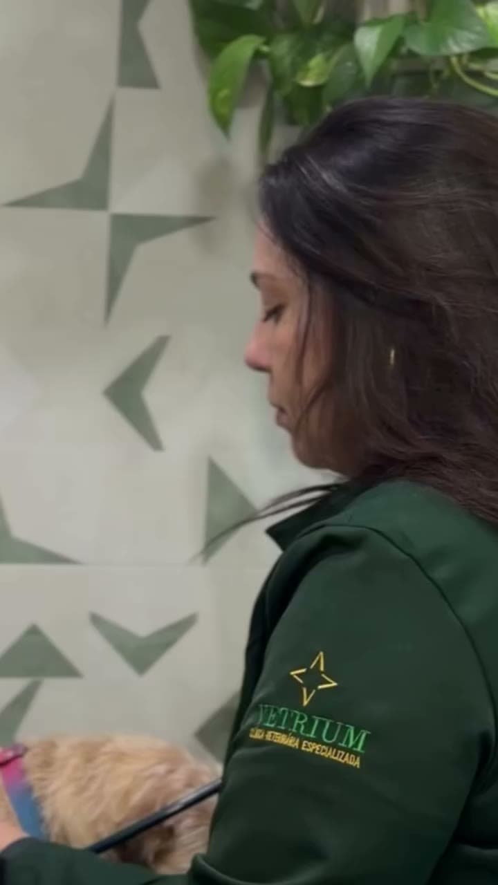 Recepção com carinho