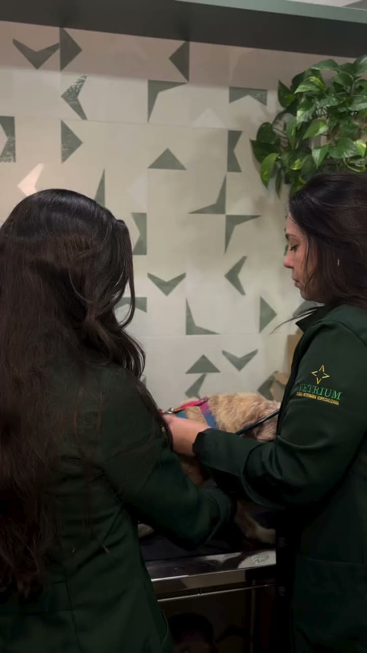 Bastidores de um atendimento real
